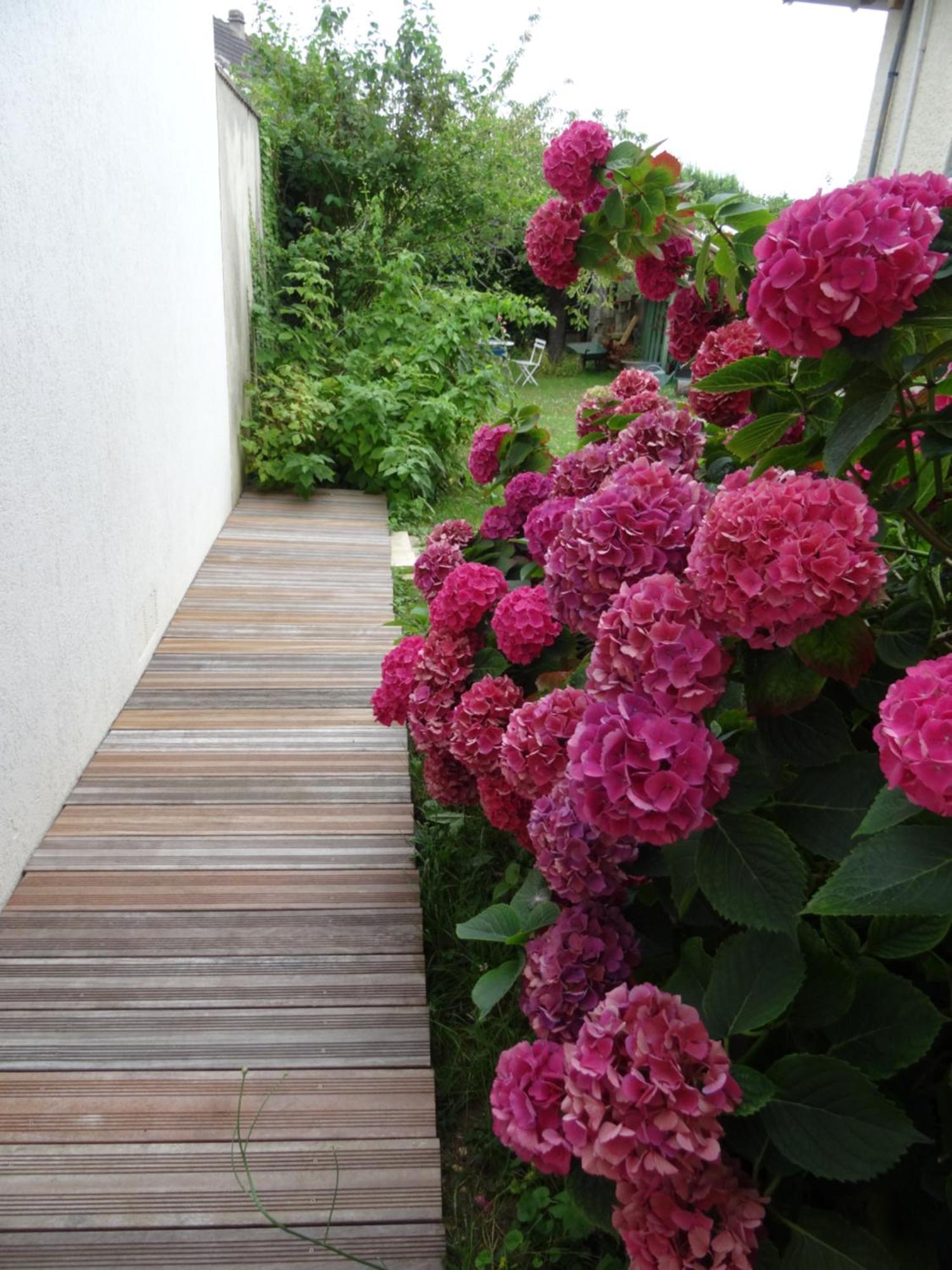 Maison D'Hotes Les Roses Tremieres Сакле Екстер'єр фото